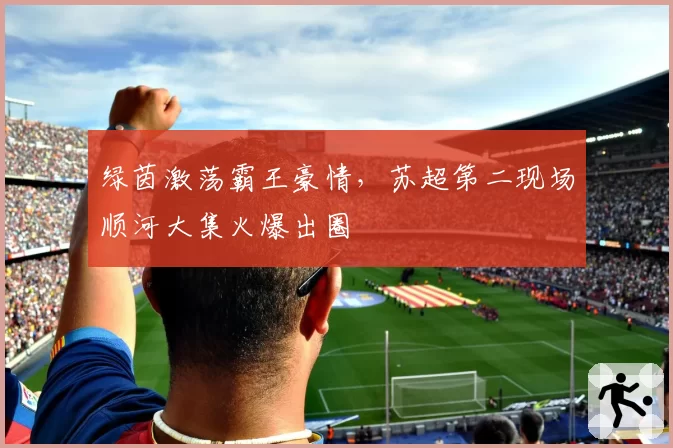 绿茵激荡霸王豪情，苏超第二现场顺河大集火爆出圈